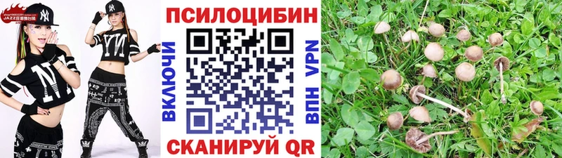 Галлюциногенные грибы прущие грибы  Томари 
